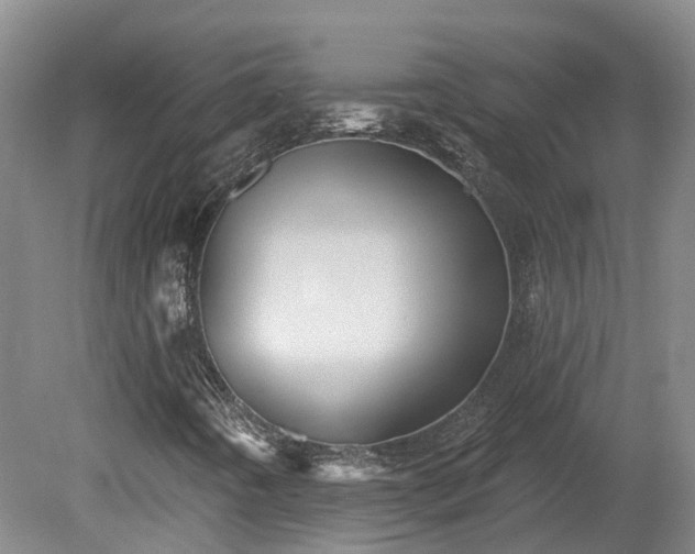 X0000080741442200612221306