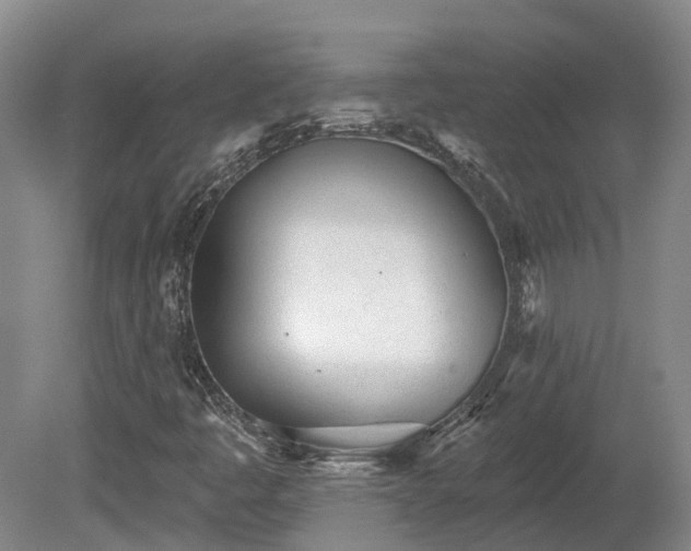 X0000080741445200612221306