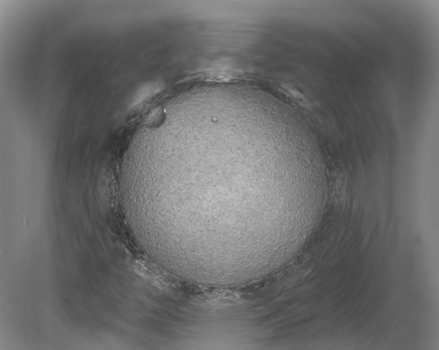 X0000080741446200612221306