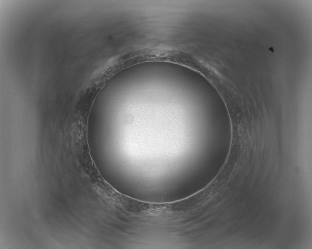 X0000080741447200612221306
