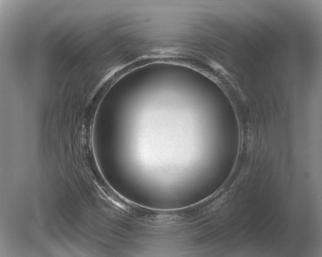 X0000080741449200612221306