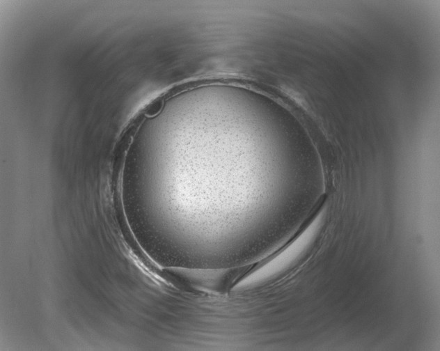 X0000080741452200612221306