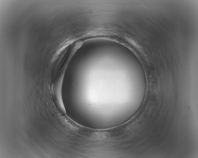X0000080741453200612221306