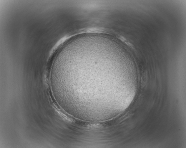 X0000080741454200612221306