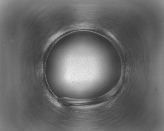 X0000080741461200612221306