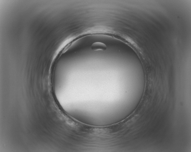 X0000080741469200612221306