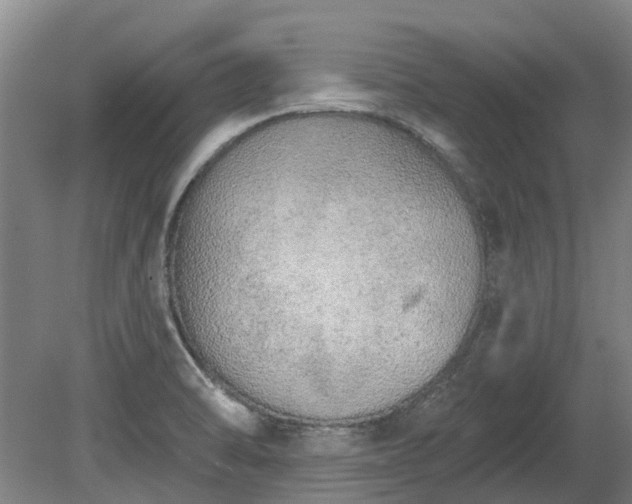X0000080741470200612221306