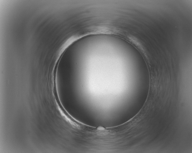 X0000080741479200612221306