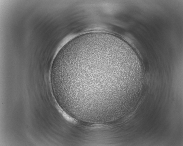 X0000080741482200612221306