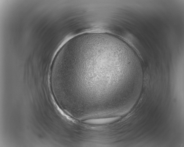 X0000080741484200612221306