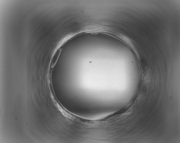 X0000080741485200612221306