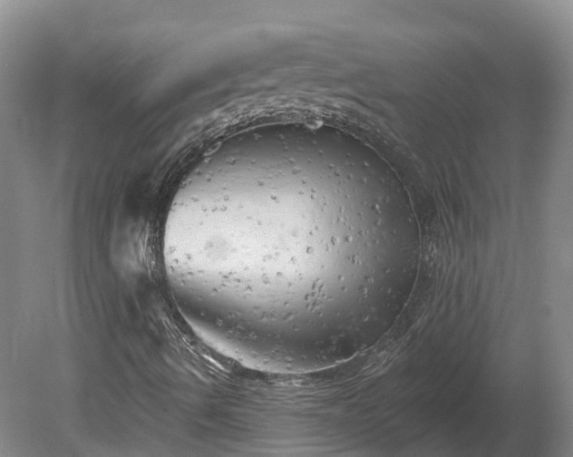 X0000080741490200612221305