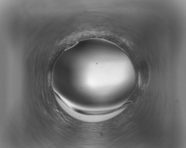 X0000080741492200612221305