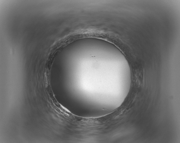 X0000080741493200612221305