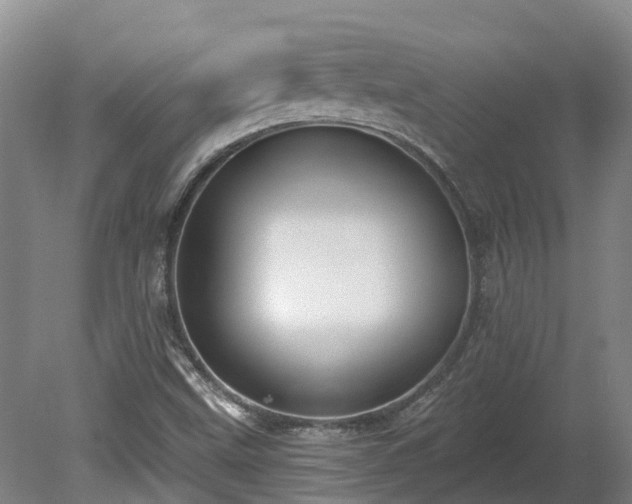 X0000080741499200612221305