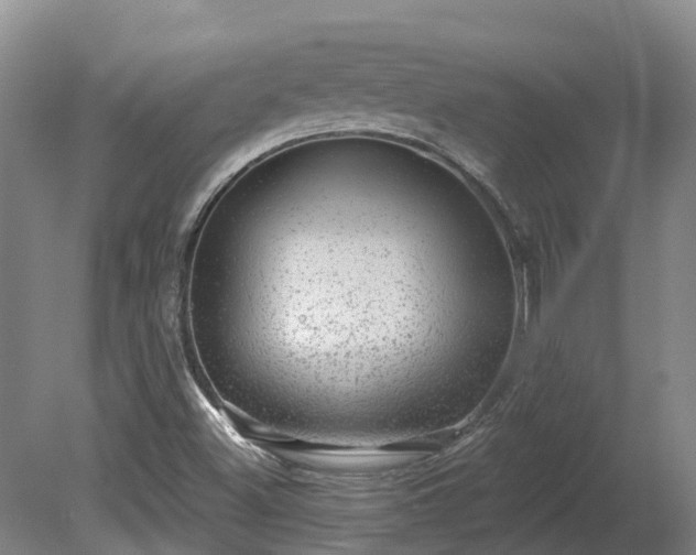 X0000080741500200612221305