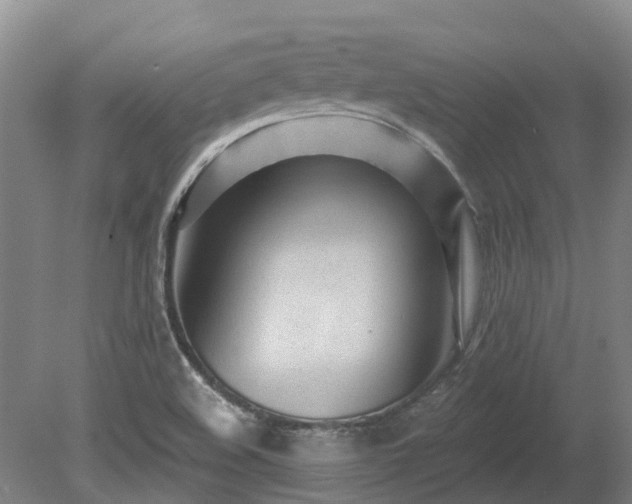 X0000080741508200612221305