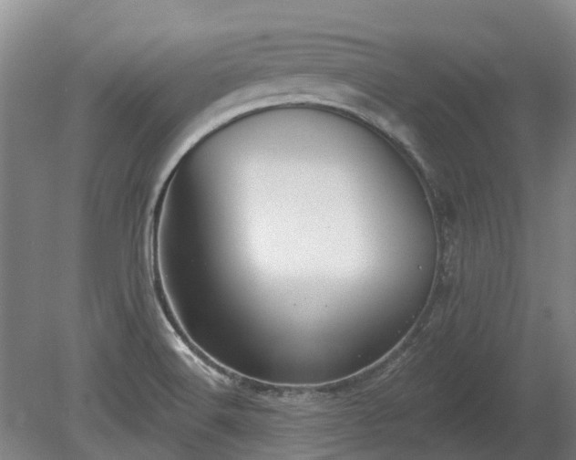 X0000080741516200612221305