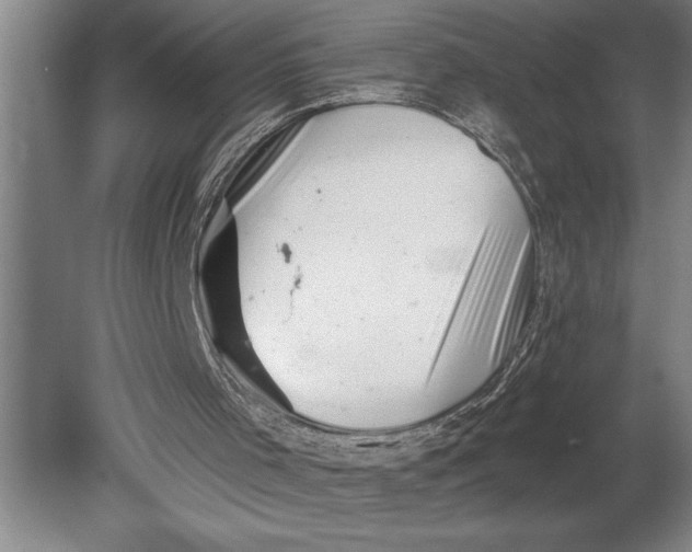 X0000080740001200701021159