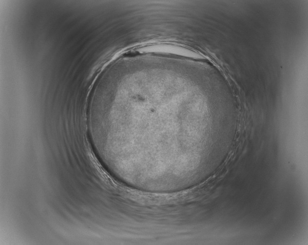 X0000080740002200701021159