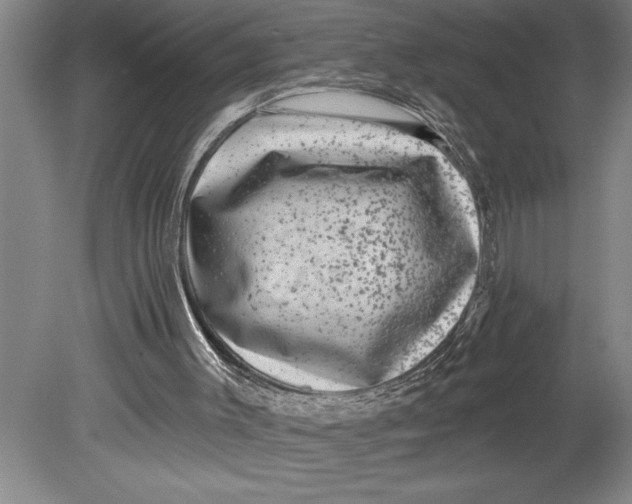 X0000080740003200701021159