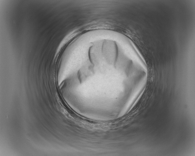 X0000080740004200701021159