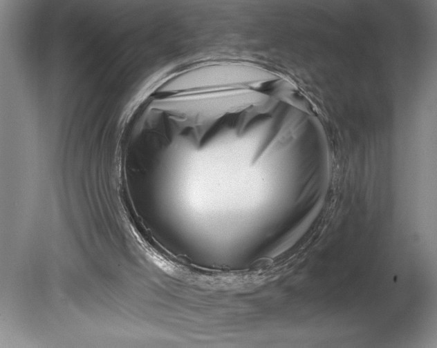 X0000080740005200701021159