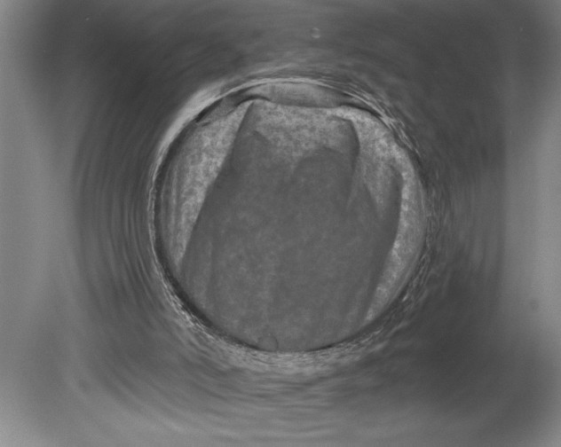 X0000080740006200701021159