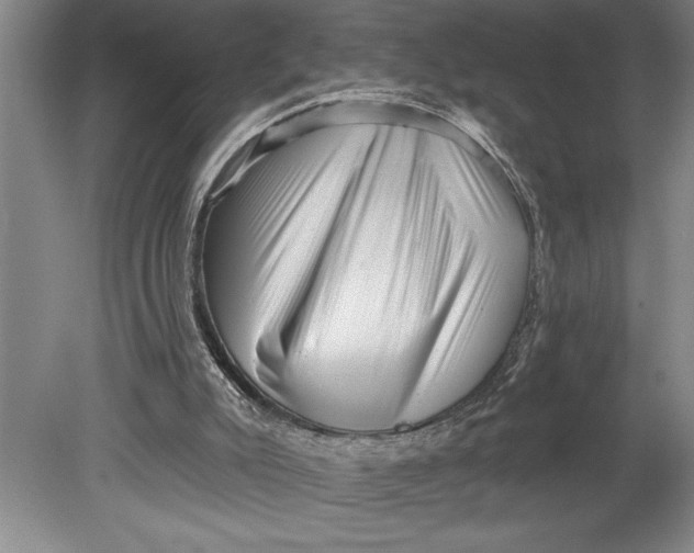 X0000080740007200701021159