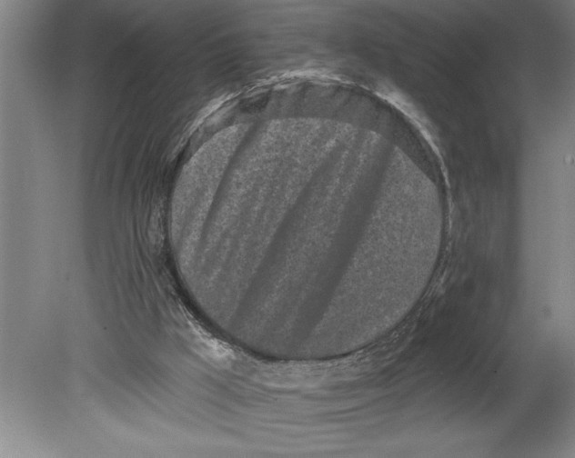 X0000080740009200701021158