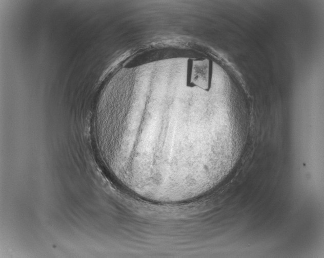 X0000080740010200701021158