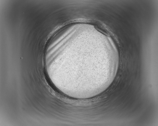 X0000080740011200701021158