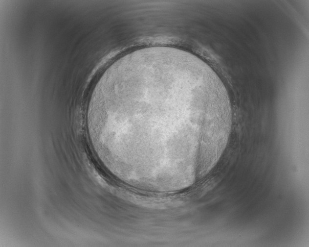 X0000080740012200701021158