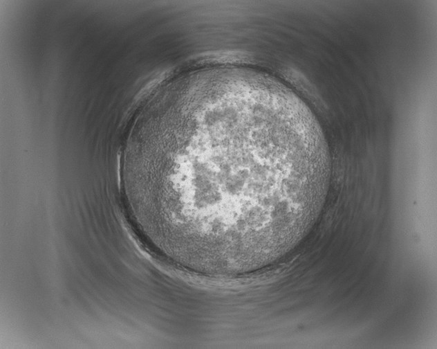 X0000080740014200701021158