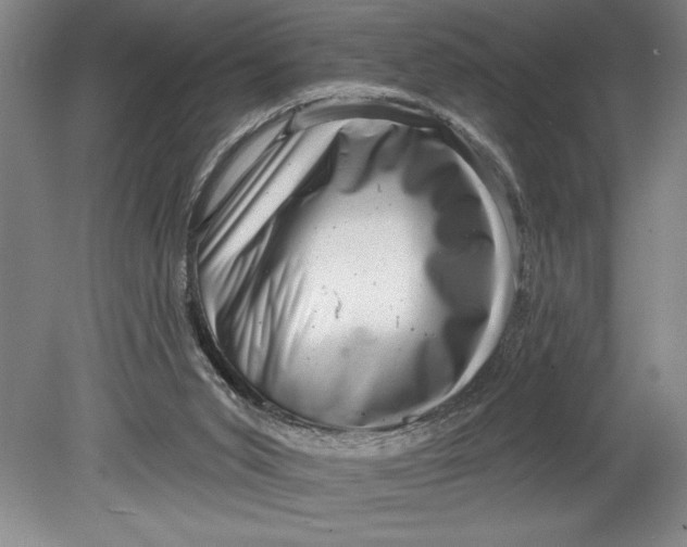 X0000080740015200701021158