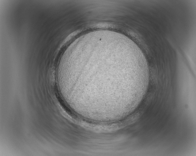 X0000080740016200701021158