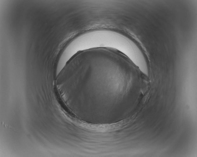 X0000080740019200701021158