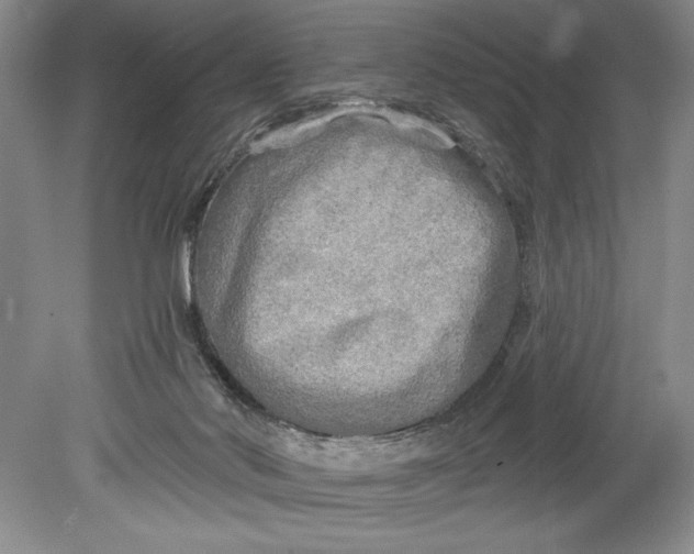 X0000080740022200701021158