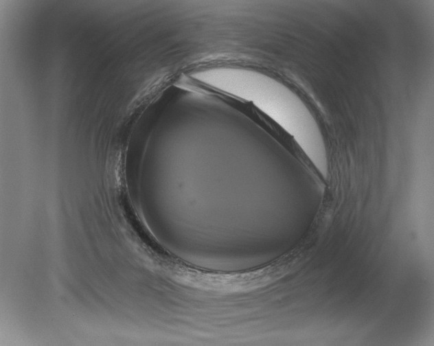 X0000080740023200701021158