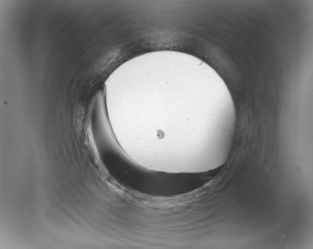 X0000080740025200701021158