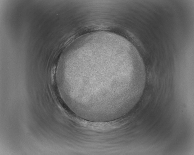 X0000080740026200701021158