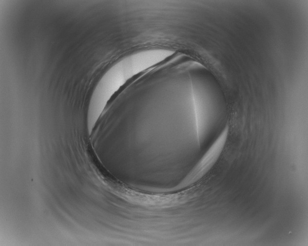 X0000080740027200701021158