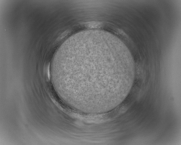 X0000080740028200701021158