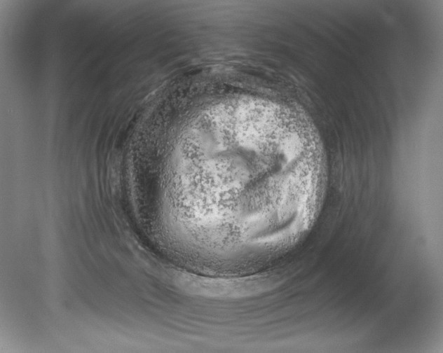 X0000080740030200701021158