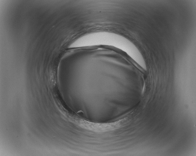 X0000080740031200701021158