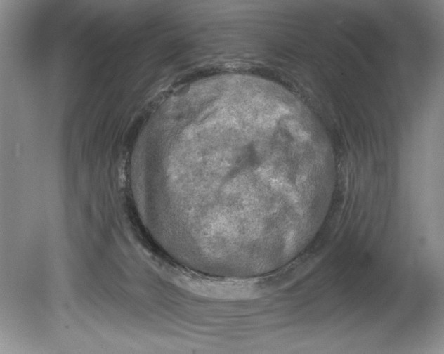 X0000080740032200701021158