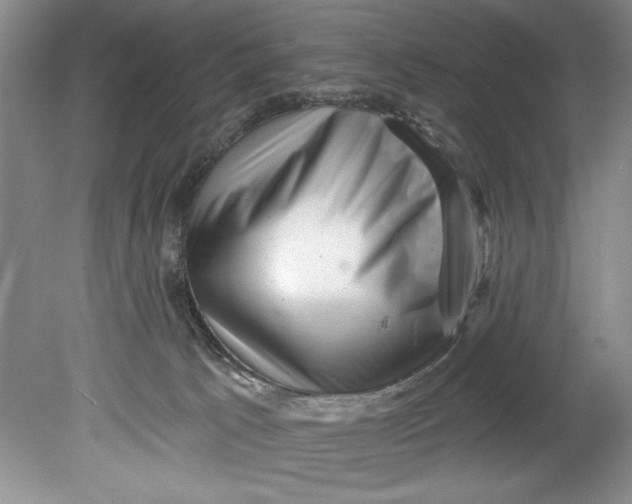 X0000080740033200701021158