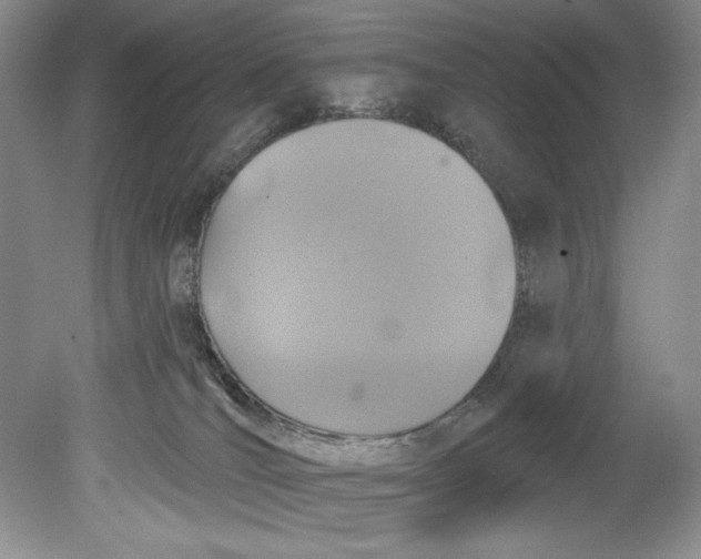 X0000080740036200701021158