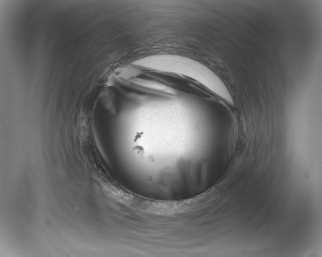 X0000080740037200701021158