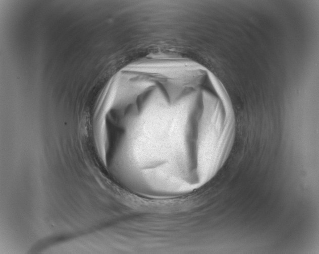 X0000080740038200701021158